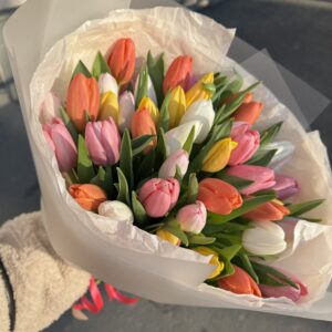 Tulip 51ks